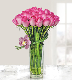 Passion For Pink Roses, Love and Romance