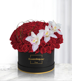 Passionate Red Rose and Orchid Love Match