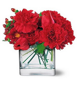 Passionate Reds, Carnations
