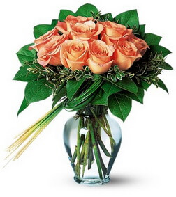 Perfectly Peachy Roses, All Occasions