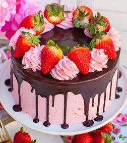 Pink Strawberry Burst Cake