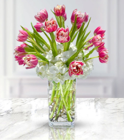 Pink Tulip Paradise, Love and Romance