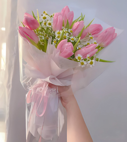 Pink Tulips Enchantment
