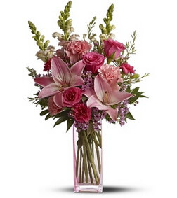 Pink Wink, Carnations