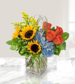 Playful Hue Arrangement, Get Well