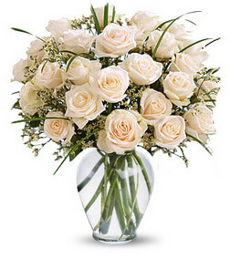 Premium Elegance Roses