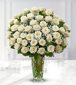 Serene White Roses