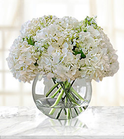 Pristine White Hydrangea Bouquet