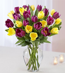 Passion Tulip Bouquet, Tulips