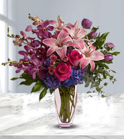 Purple Perfection, Lillies
