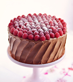 Raspberry Chocolate Cake