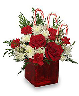 Red Roses & Canes Centrepiece