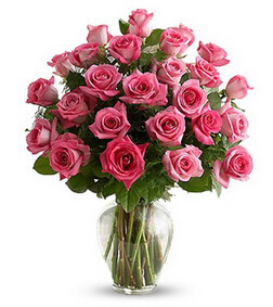 Rose Elegance Premium Long Stem Pink Roses