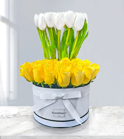 Roses & Tulips Harmony Bouquet, Get Well