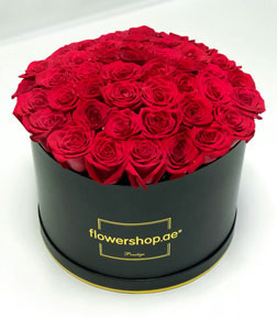 Prestige 50 Rose Black Hatbox