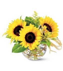 Sassy Sunflowers
