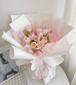 Soft Bloom Serenade