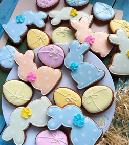 Spring Whisker Medley