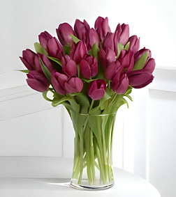 Sweet Lavender Tulips