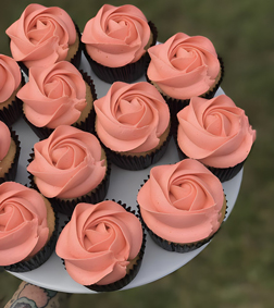 Sweet Pink Cupcakes