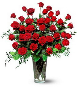 Three Dozen Red Roses, All Occasions