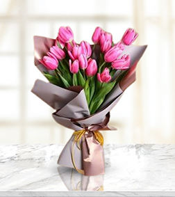 Tulips of Love, Tulips