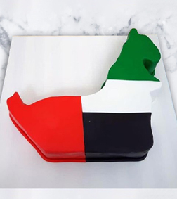 UAE Country Cake
