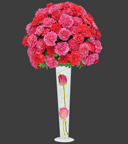 Ultimate Elegance, Carnations