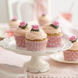 Delicate Cream Rose Cupcakes