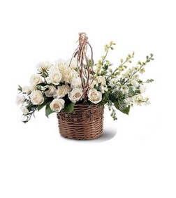 Basket of Light, Carnations