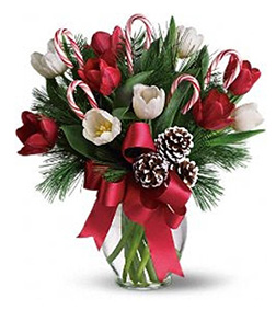 By Golly, It's Jolly, Holiday Gifts