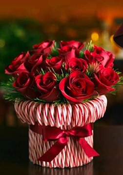 Candy Cane Centrepiece