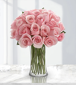 Dreamy Pink roses, Flowers