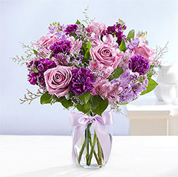 Shades of Purple, Carnations