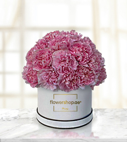 Fluttering Pink Carnation Hatbox