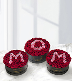 Classique MOM Rose Hatbox