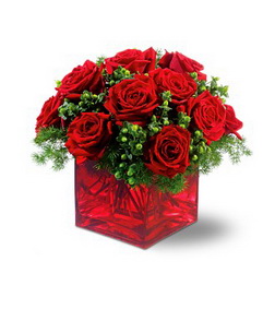 Merry Roses, Holiday Gifts