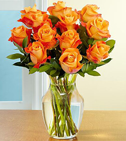 One Dozen Orange Roses