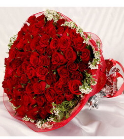 Romance Roses