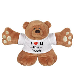 Lots-O'-Huggin- I Love You This Much, Teddy Bears
