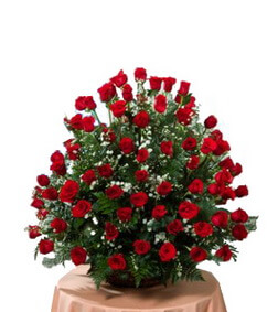 72 Red Roses