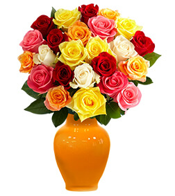 Two Dozen Multicolored Roses