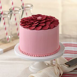 Classic Petals Valentine's Cake