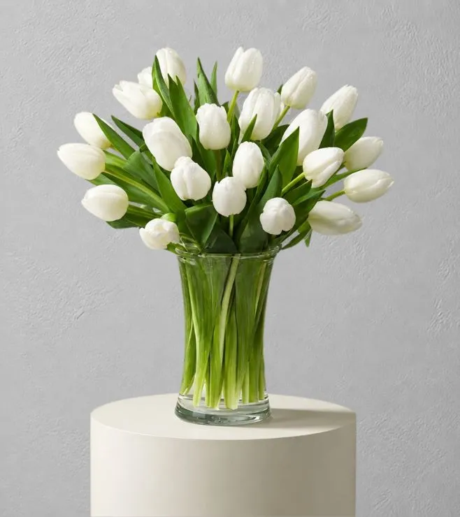 Classic White Tulips