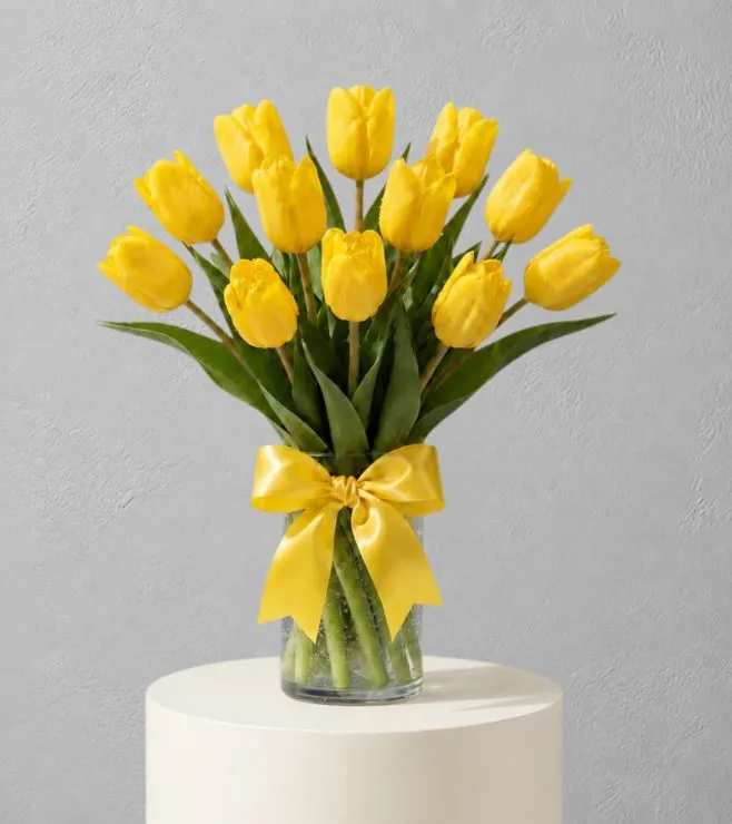 Sunny Yellow Tulips