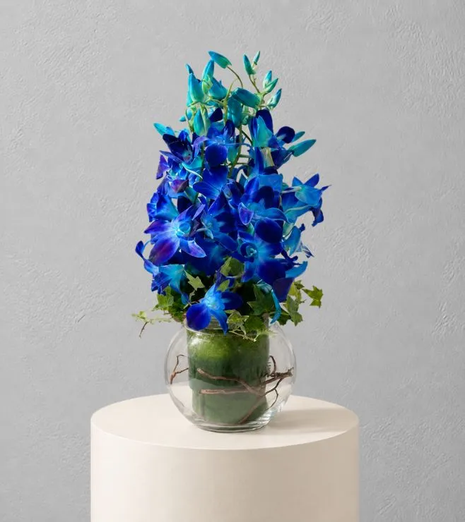 Opulent Blue Orchid Bouquet